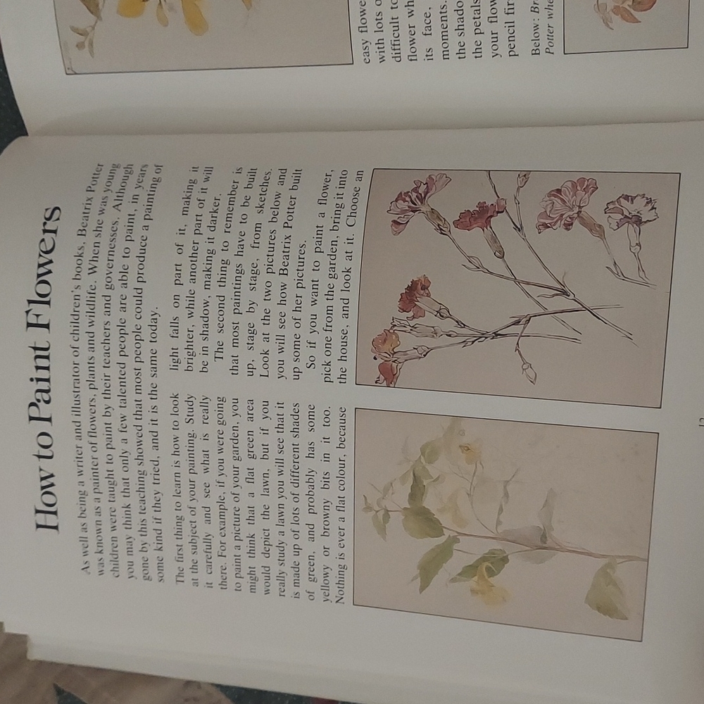 The Big Peter Rabbit Book - Picture 12 of 16
